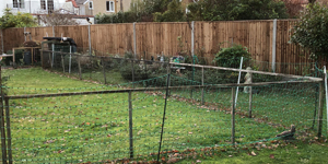 Domestic Fencing
